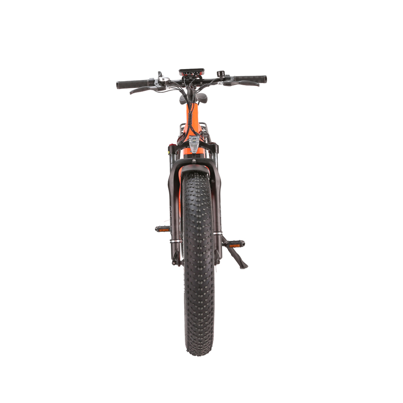 Aluminum Alloy Frame 26*4.0 Fat Tire Electric Bike with Customized Multicolored Design