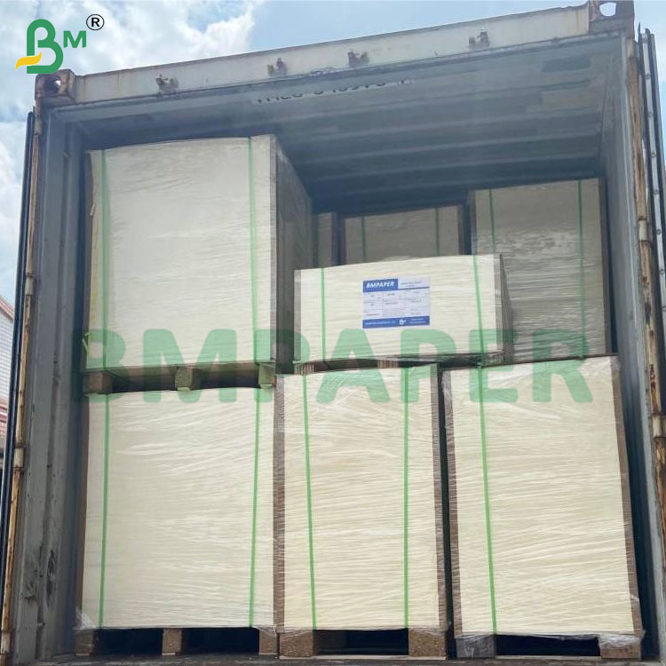 135-350 GSM Double Size PE Coated Waterproof Paper for Cup and Bowl