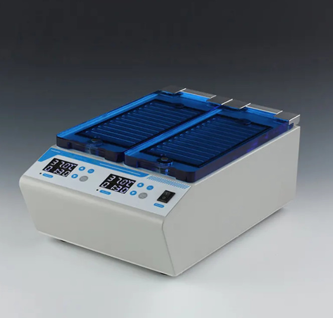 Clinical Laboratory Incubator for Blood Typing Cards 6/8-Column Incubator