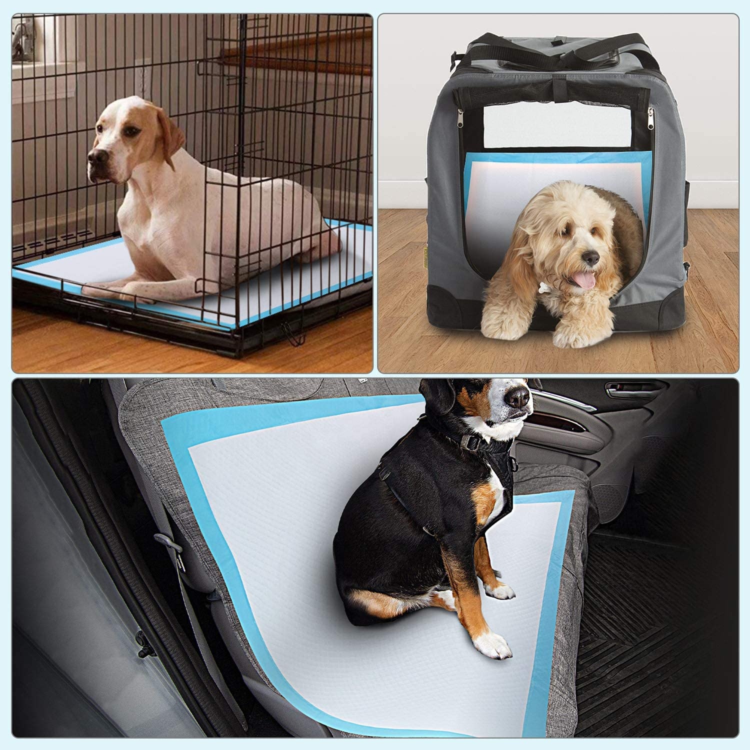 Customized Pet Potty Training Pads Core Incontinence Pet Pad for Training Dogs