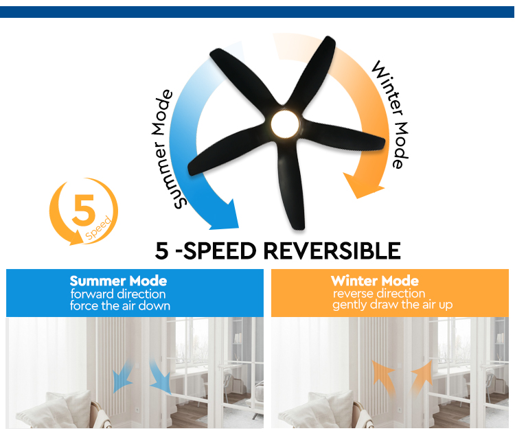 led ceiling fan
