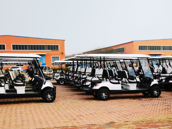 2 Person Electric Mini Golf Buggy Cart 4x4 25Mph ODM For Hotel Farm Garden