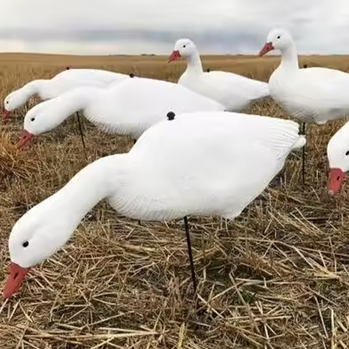 76x23x23cm EVA Foam Floating Snow Goose Decoys Full Body Customized For Hunting