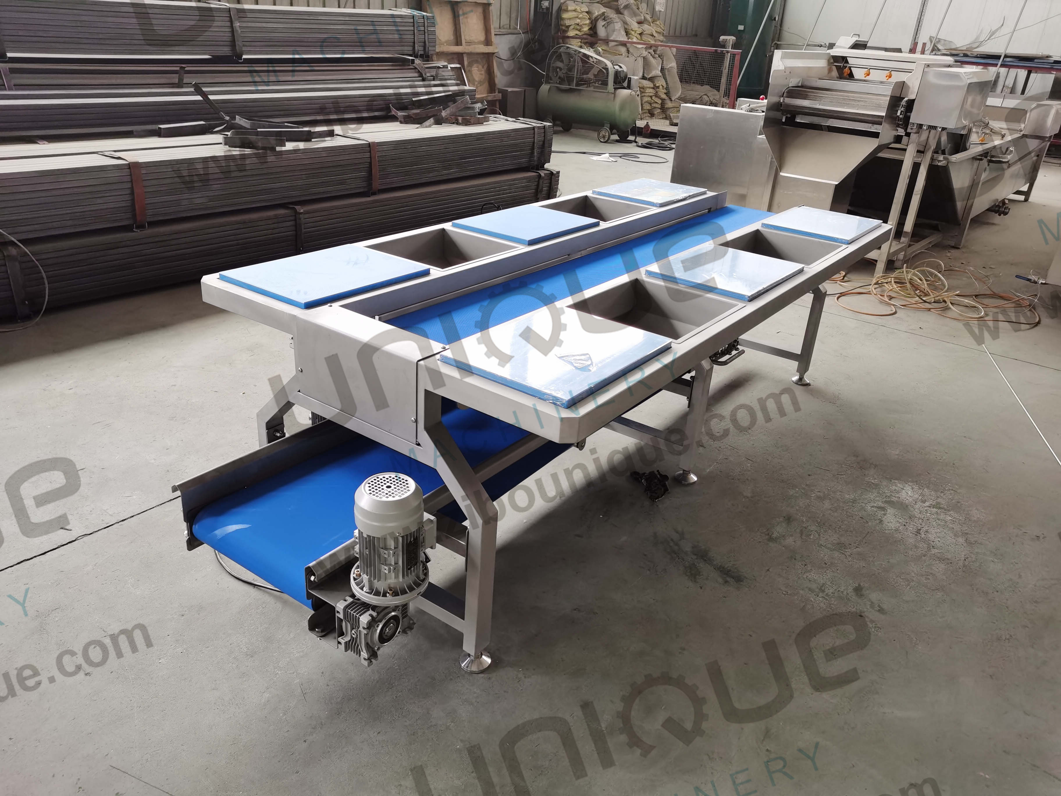 Stainless Steel Vegetable Sorting Table and Conveyors Vegetable Preparation Table 0.74 kW