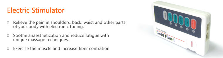 Portable 2 Ways Low frequency Electronic Body Massager