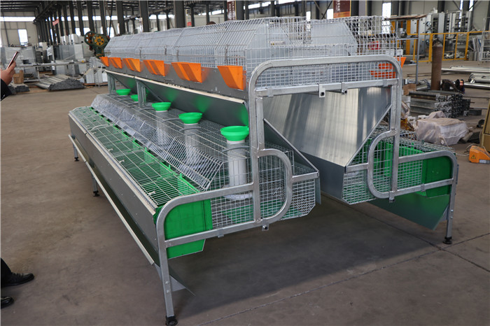 2400 * 2000 * 1500mm Farm Rabbit Cage Q235 Steel Wire / Plastic Material