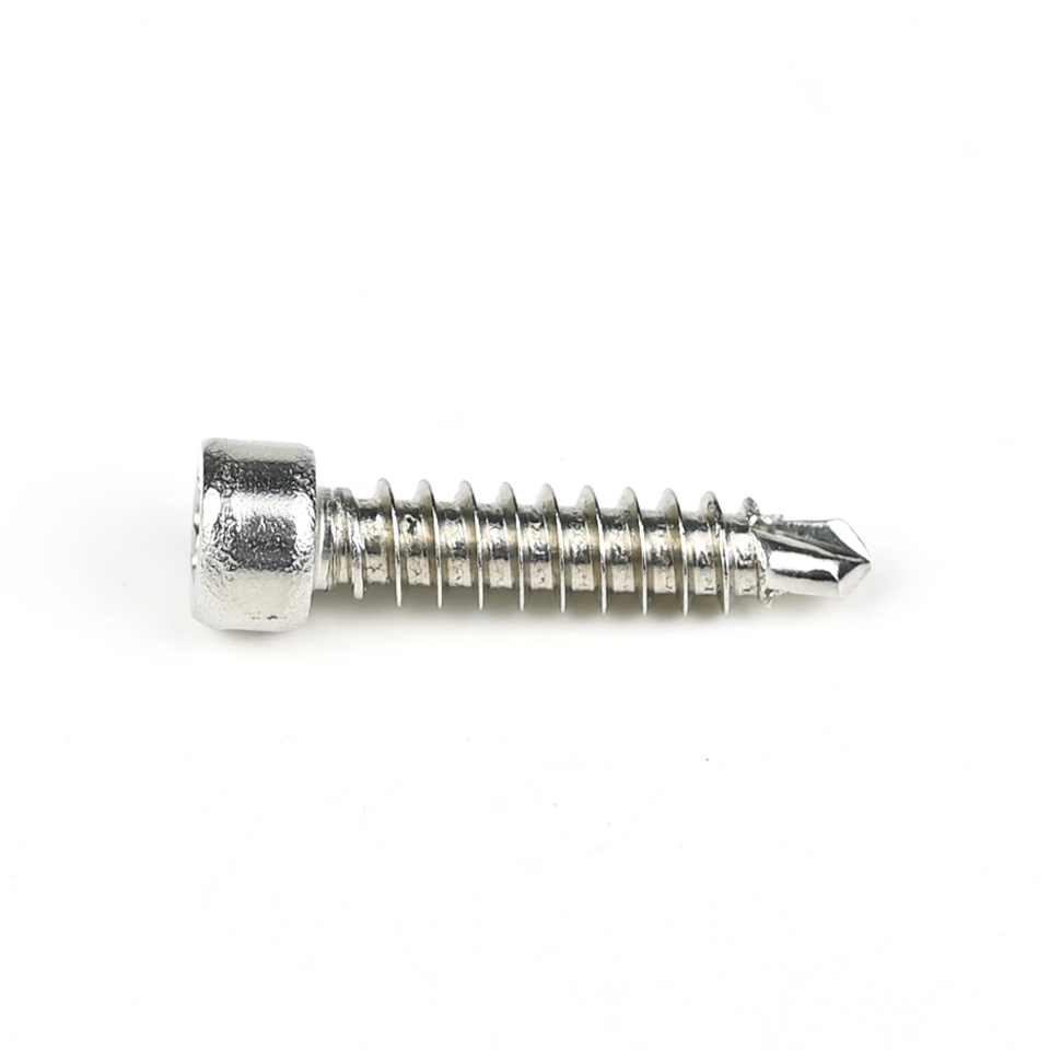 304 Stainless Steel Round Fillister Head Screw M6 Torx Screw with Customized Support