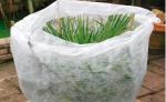 Large UV Resistant Plant Grow Bags Garden Plant Protection Fleece Cover