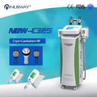 China 58% Person Buy This!!! Cryolipolysis Slimming Fat Freezing Machine / Cryolipo Cool System for sale