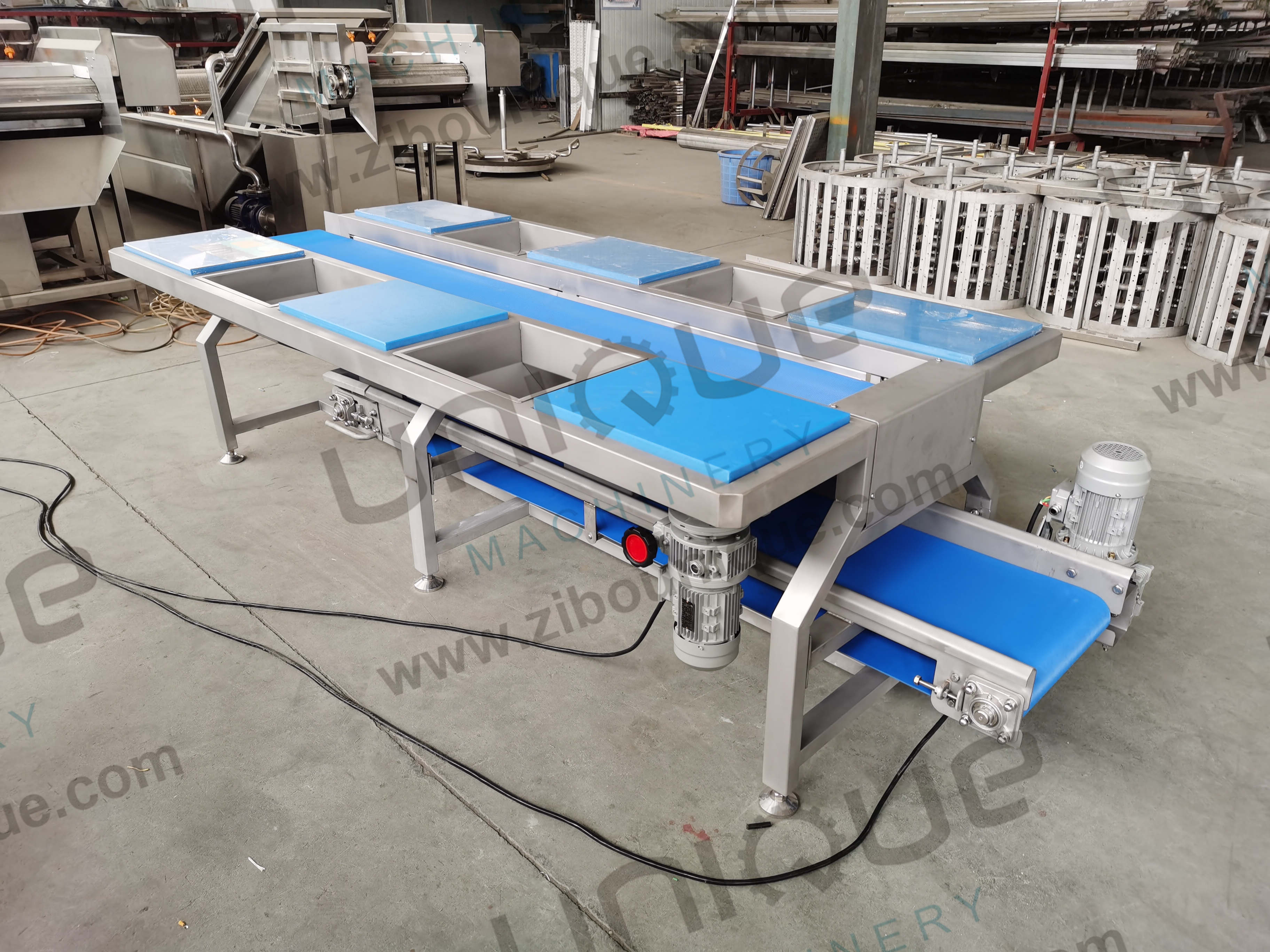 Stainless Steel Vegetable Sorting Table and Conveyors Vegetable Preparation Table 0.74 kW