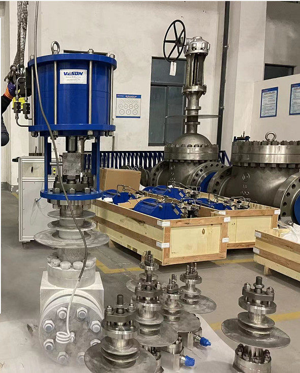 Single Pneumatic Linear Actuator Cryogenic Globe Valve with Linear Pneumatic Actuator Spring Return 200KN
