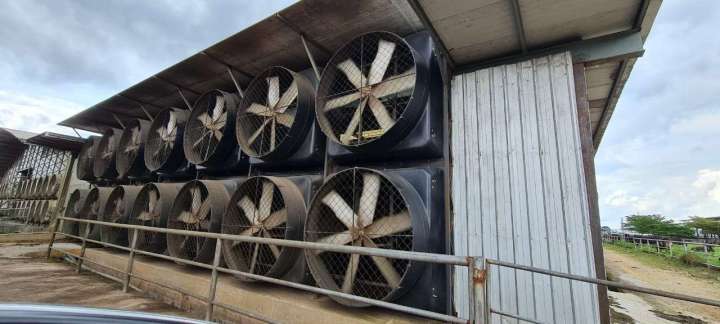 520V Industrial Livestock Farm Exhaust Fans Fiberglass With Cone