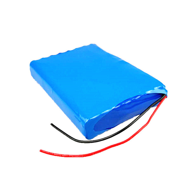 Deep Cycle 480Wh 24V 20Ah Lithium Ion Battery Pack