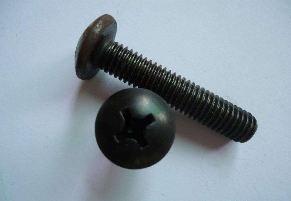 DIN Standard Stainless Steel Cross Slot Round Head Screws and Nuts Fasteners in Hebei