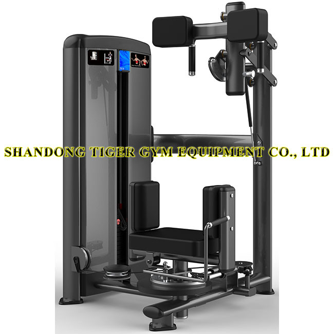Fitness Equipment Rotary Torso Rotation training machine for exercising psoas / abdominal muscles