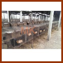MKmoon Fur Ltd