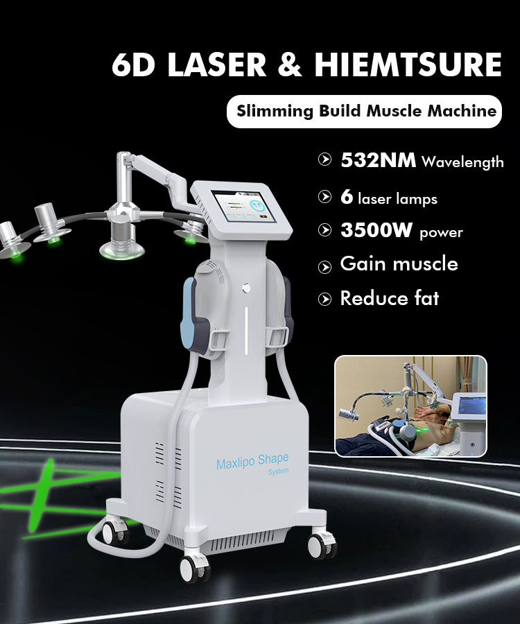Non Invasive 532nm 6D 2 In 1 Lipo Laser Slimming Machine 300W Laser Therapy Machine