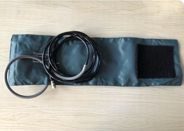 12.1 Inch High Resolution Color LCD Patient Monitor With 6 Standard Parameters ECG, RESP, NIBP, SPO2, 2-TEMP, PR/HR