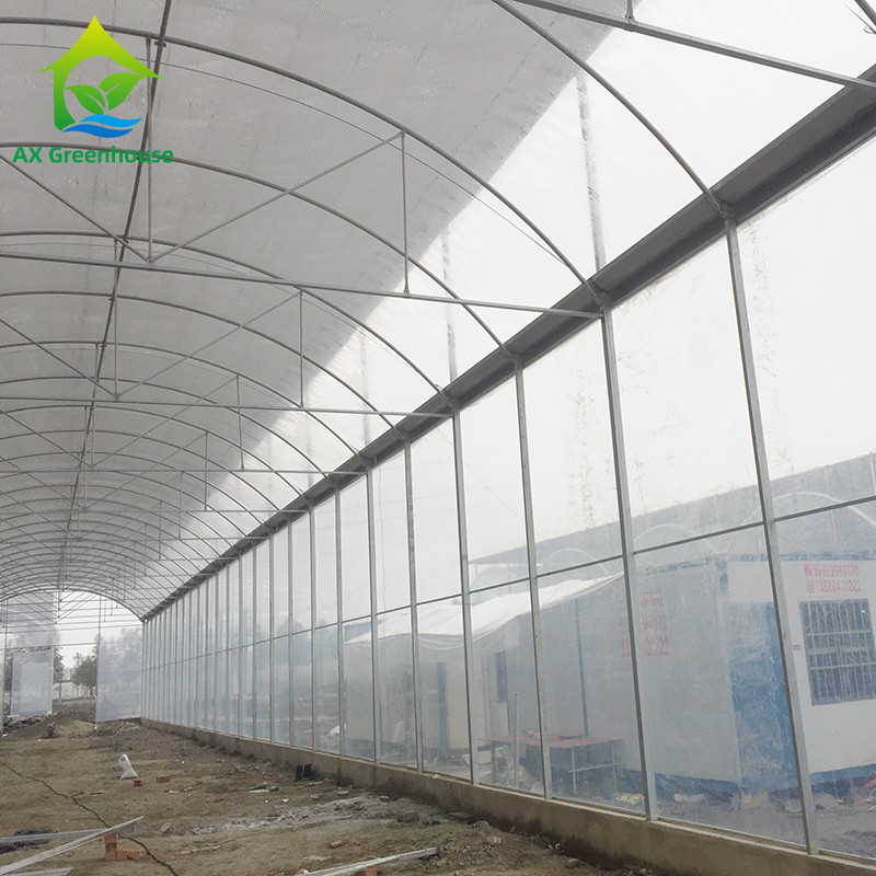 0.06mm 0.20mm Thick Flm Poly Tunnel Greenhouse Hot Galvanised Steel Greenhouse