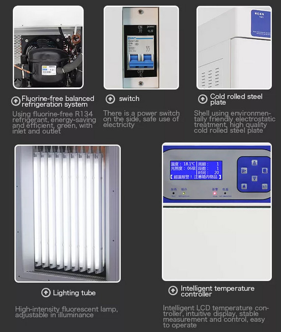 Lighting Climatic Incubator Plant Growth 5000LX Temperature And Humidity Chamber