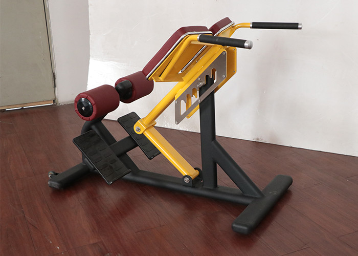 Customizable Ab Exercise Chair Plate Loaded 50kg Weight Soft Cushion