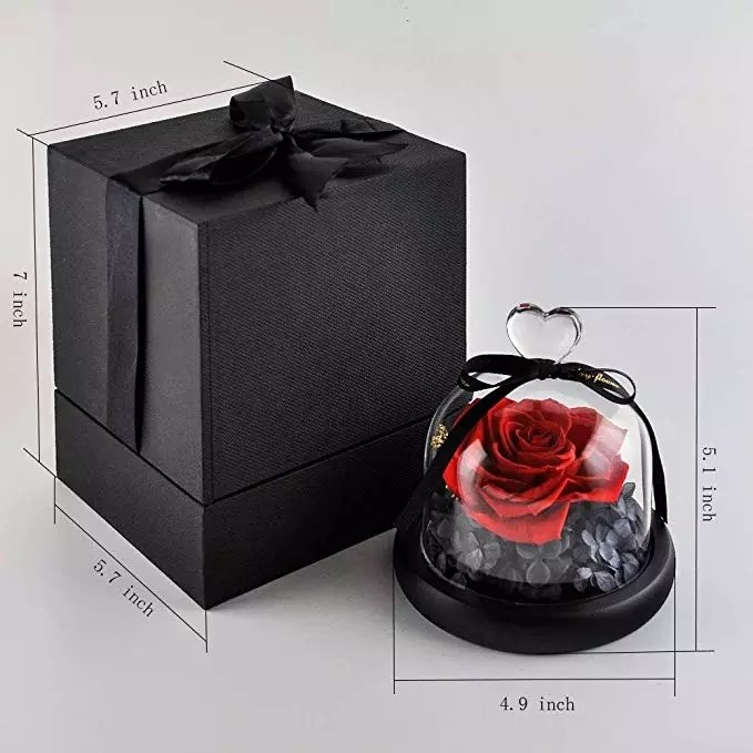 Preserved Flower Eternal Rose in Glass Long Lasting Flowers Home Decoration Everlasting Flowers