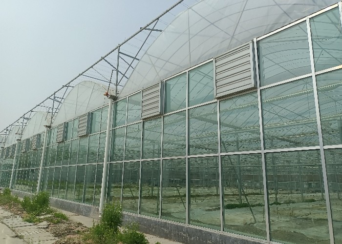 Modular Agricultural Greenhouse For Sale Dome Roof Cover Film Side Cover Multi Span Cucumber Lettuce Growing