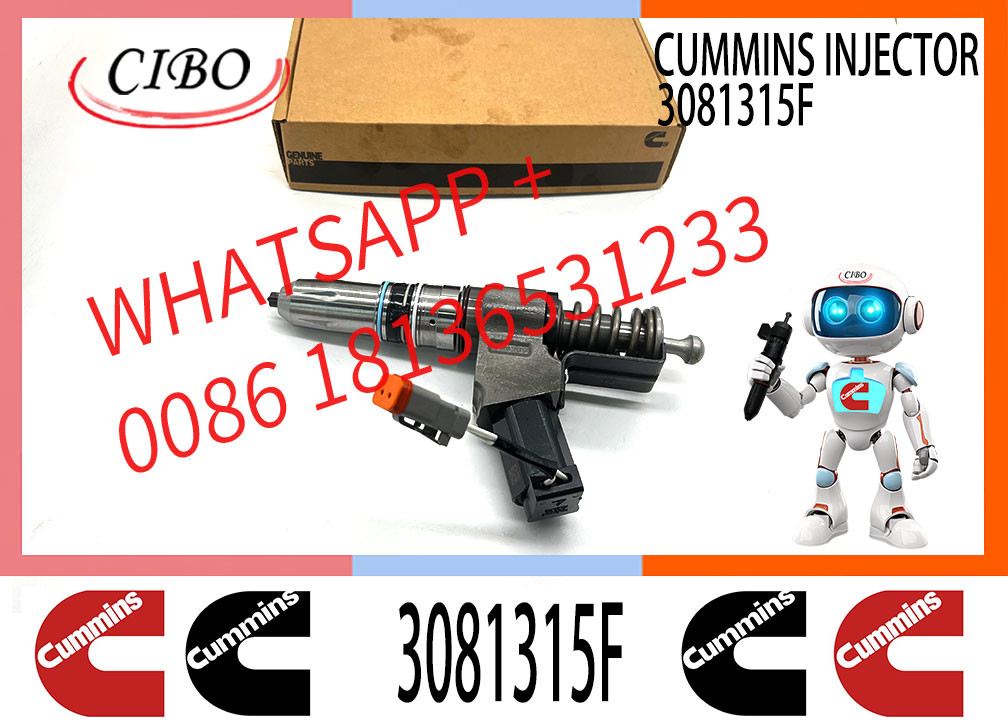 Fuel Injector Assembly 3081315F 4384360 3411762 4307516N 3411767T 3407776 3087807 341176 3409975 For Cum-mins Engine N14