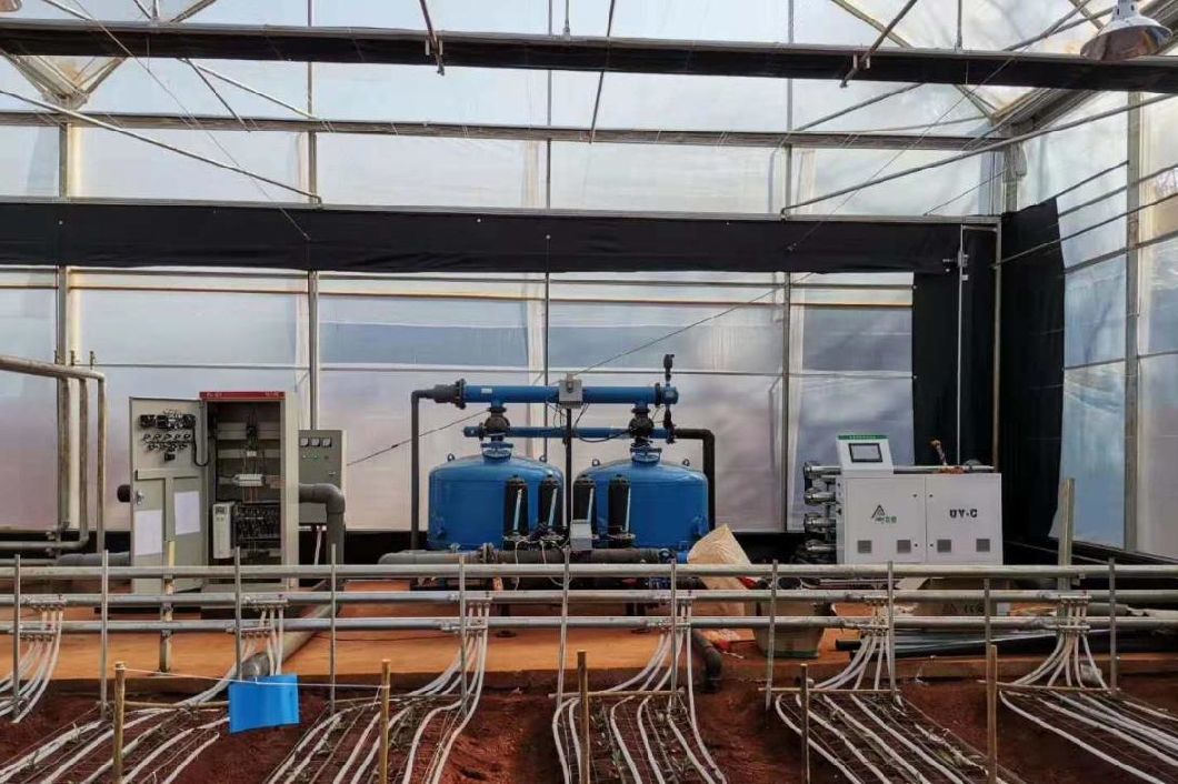 Hydroponics Stromal Humidity Control Multi-Span Seedling Glass Greenhouse