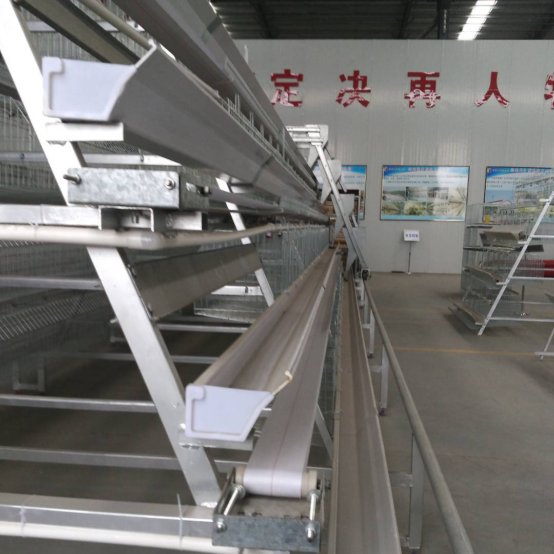 4 Tier 128 Birds/Set A Frame Layer Cages For Laying Eggs