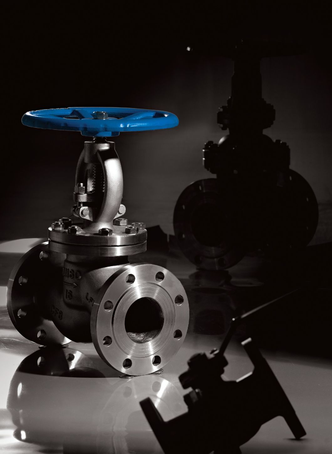 DIN F4/F5 Series Rising Stem Gate Valves (Z41H)