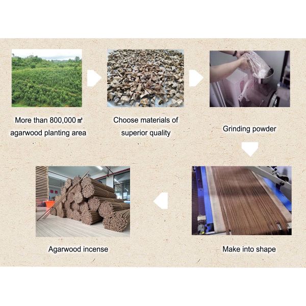 Long Burning Natural Agarwood Incense Sticks Designed to Deliver Consistent Fragrance Enhancing Spiritual Practices