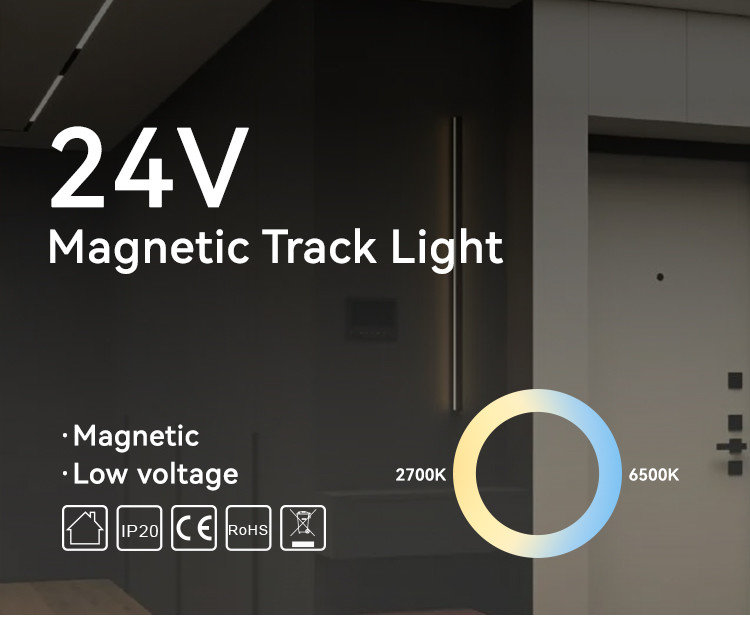 24V Track Flood Light Ultra Slim 20W Smart Magnetic Track Light