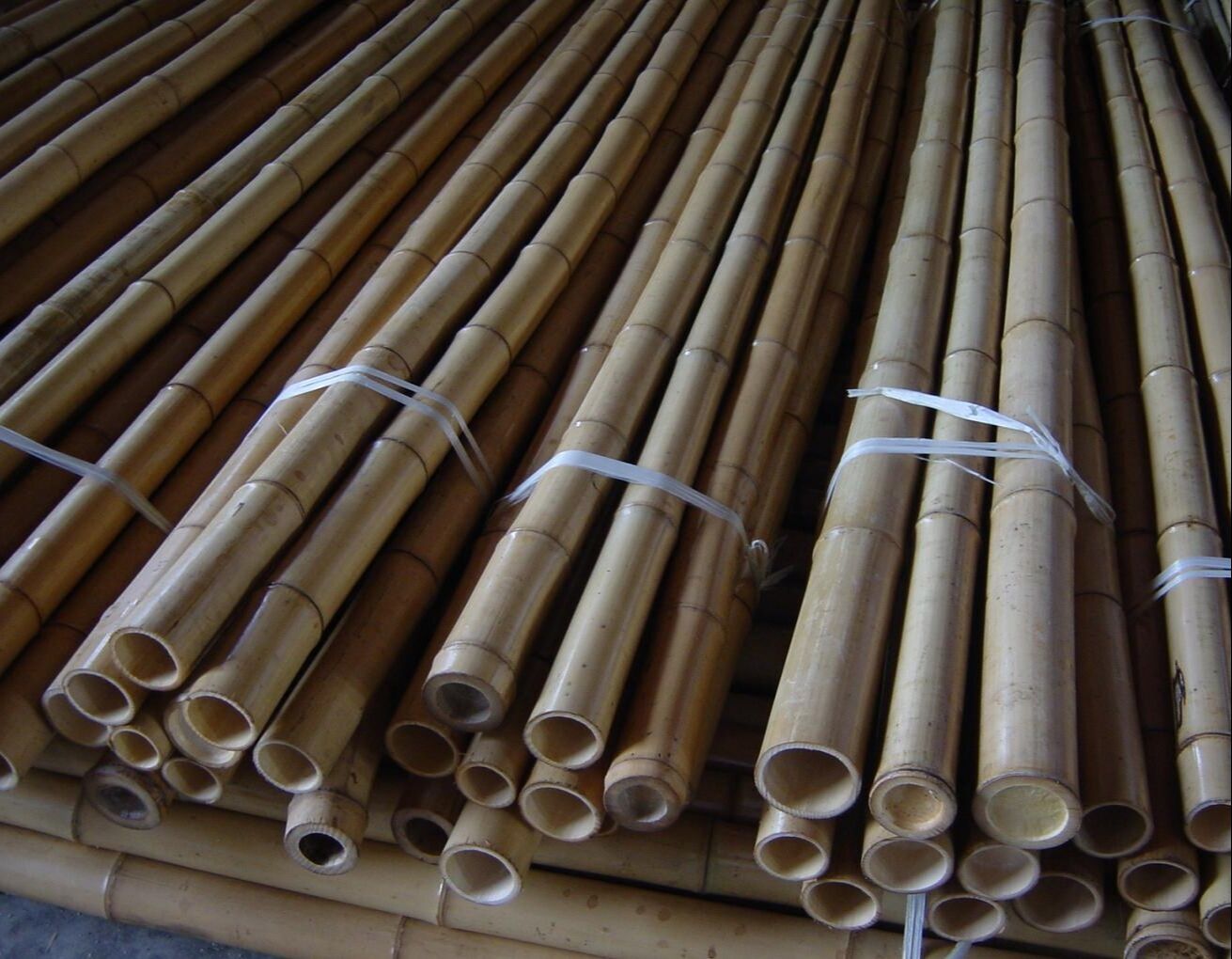Natural Garden Stakes for Tomato , Bean , Flowers , Trees Potted and Climbing Plant Support