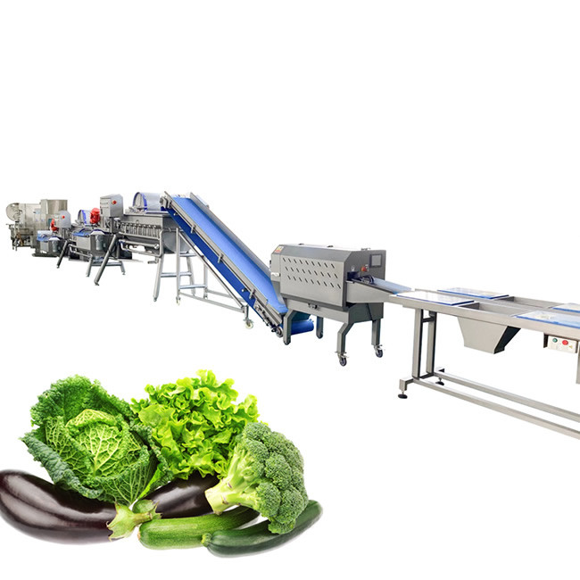 Diced Cleaning 1700kg/H Vegetable And Fruit Washing Machine