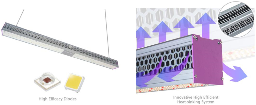 Efficient Commercial Greenhouse LED Grow Lights 60Hz Ip65 For Plants
