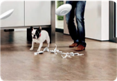 Custom Wood Floor Solution 4mm 5mm Portugal Cork Flooring Tiles with Onsite Training