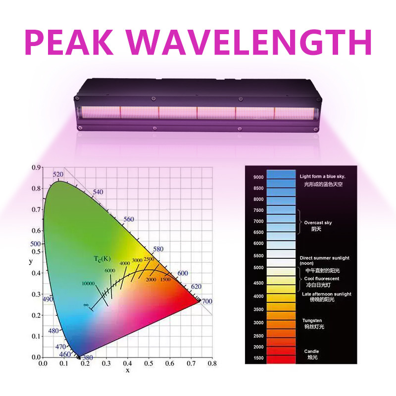 Multi Wavelength UV LED Curing System For 3D Printer Flexo Curing Oven