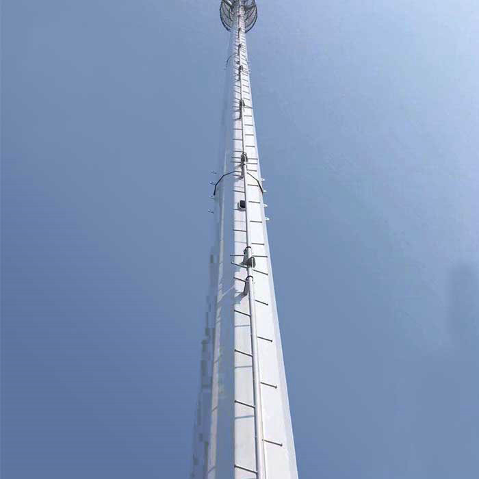 Environmental Telecom Monopole Bionic Tree Mobile Cell Tower 30m/S