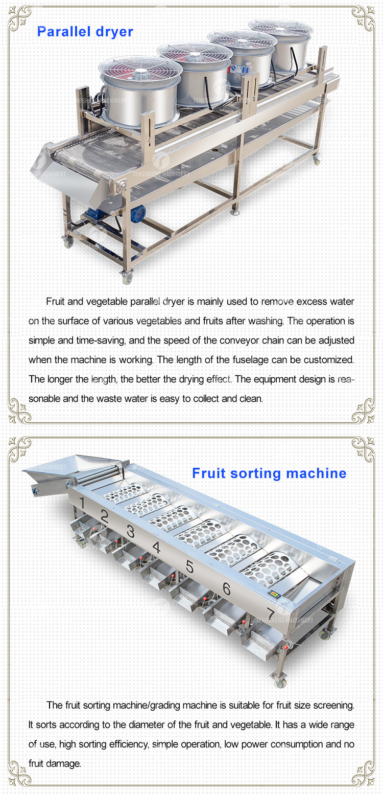 380V Fruit And Vegetable Processing Line Fully Automatic Cleaning Drying Grading