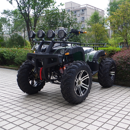 1500W Electric Quad Bike ATV for Hot Selling