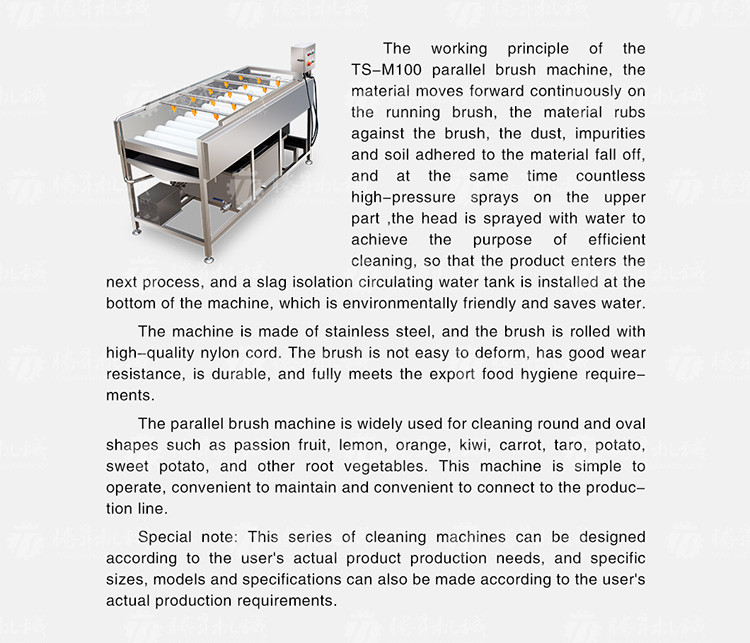 Kiwi Carrot Taro Vegetable Brush Bubble Cleaning Machine 2.5KW