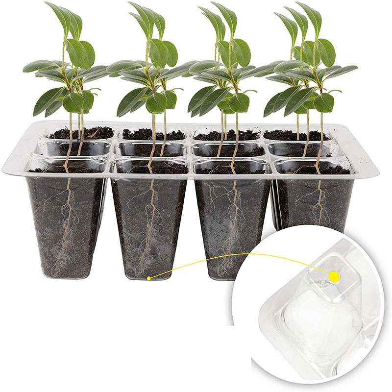 6 Hole / 12 Hole Seedling Tray Biodegradable Nursery Seedling Tray Agriculture