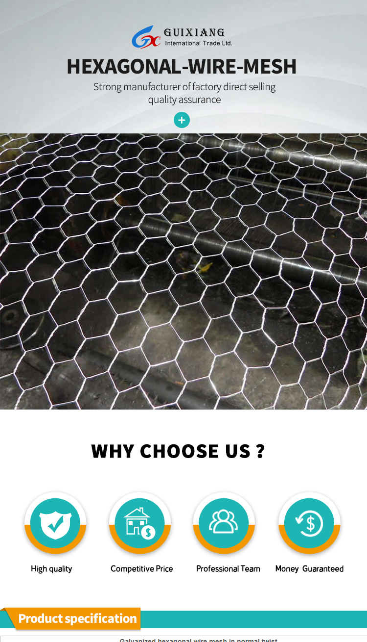 PVC Coated Cage Coop Fence Wire Mesh Rolls Hexagonal Wire Mesh Netting For Stone Loading