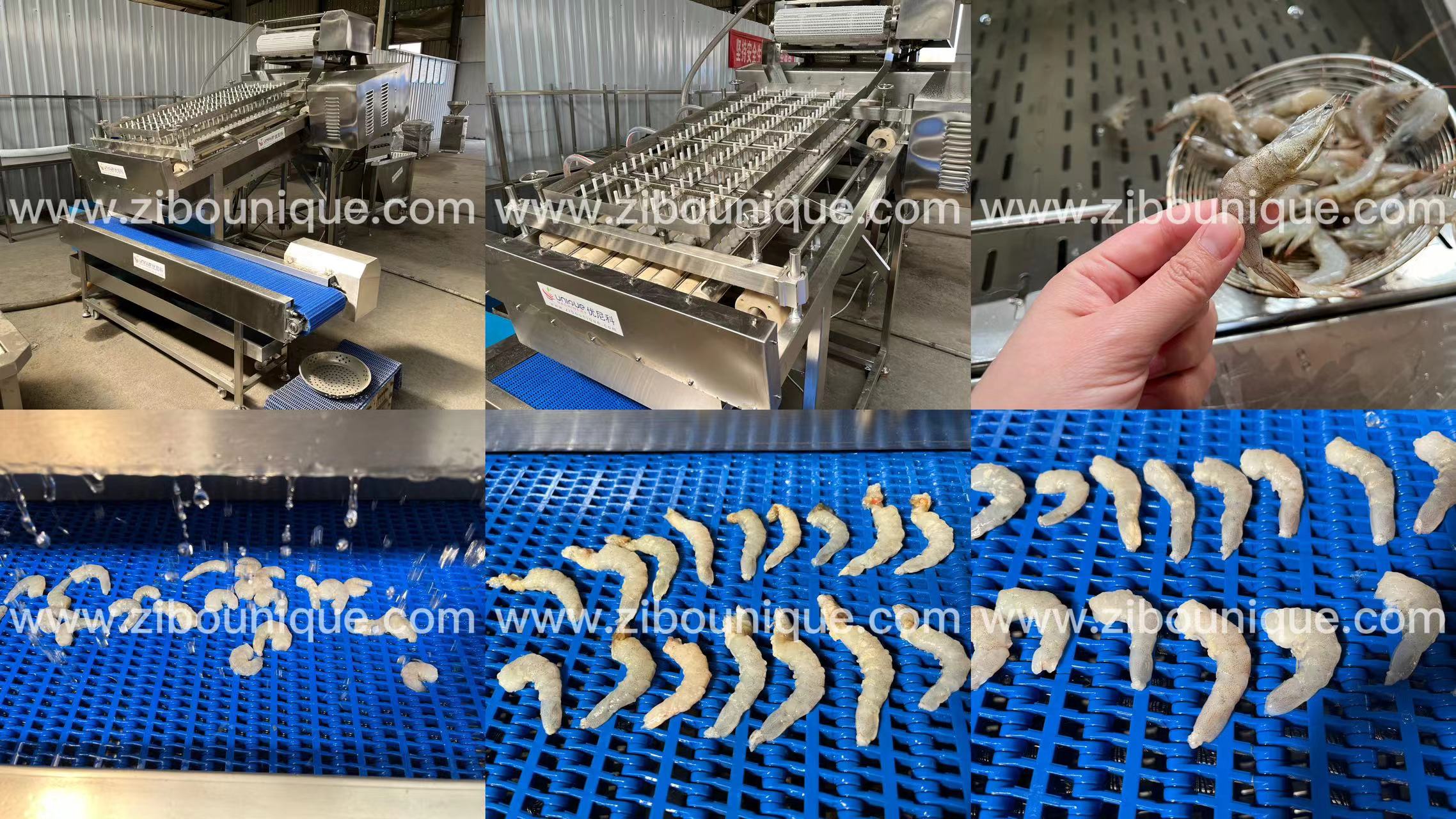 300 Kg/H Shrimp Peeling Machine Prawn Shelling Solution Cleaning Machine