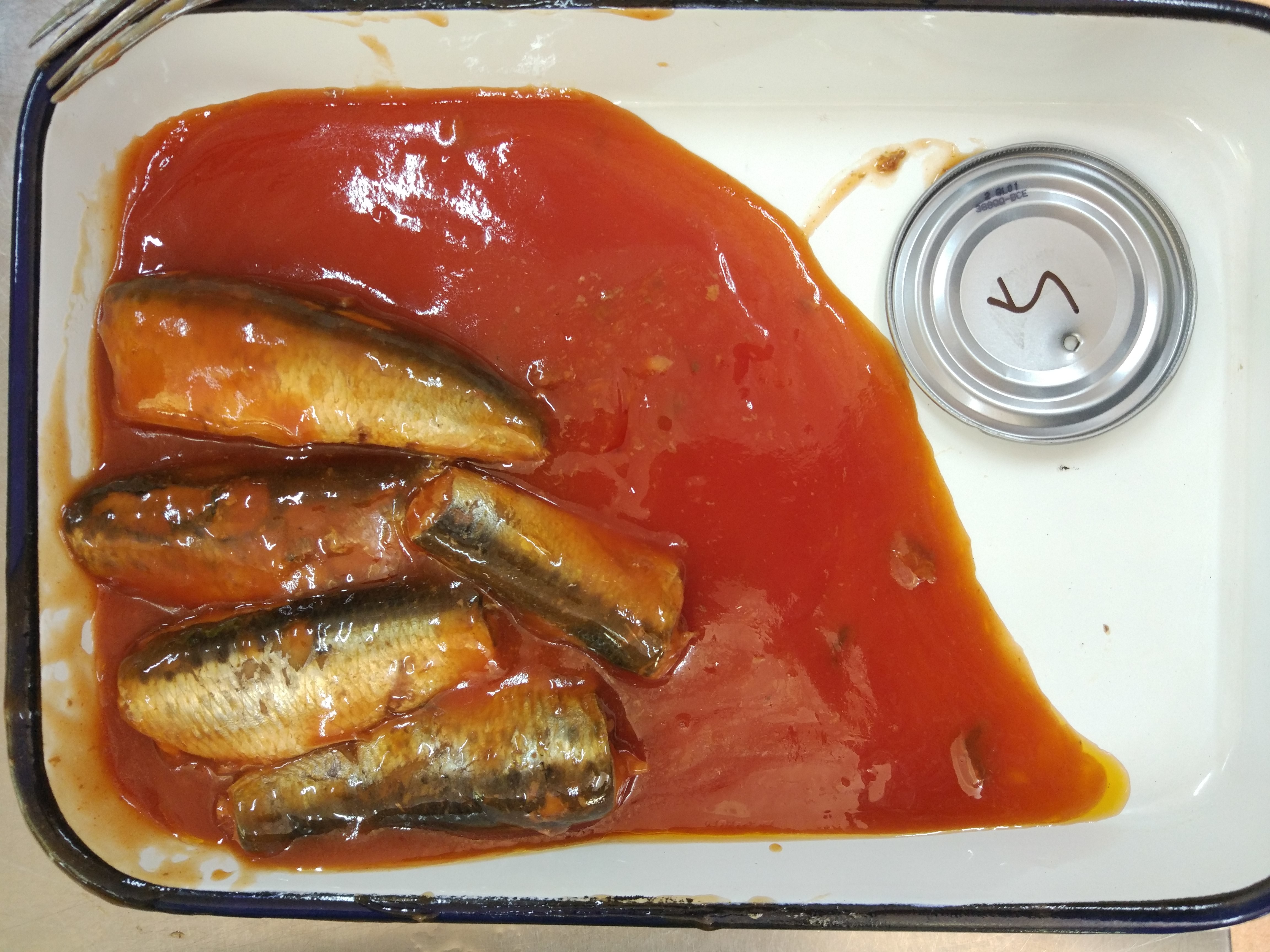 Mackerel Cans And Sardines Fishes Canned In 425g Oval Tins From China