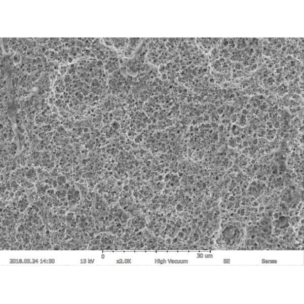 Magnification Max 150000X Scanning Electron Microscope 5nm Resolution EDS BSE