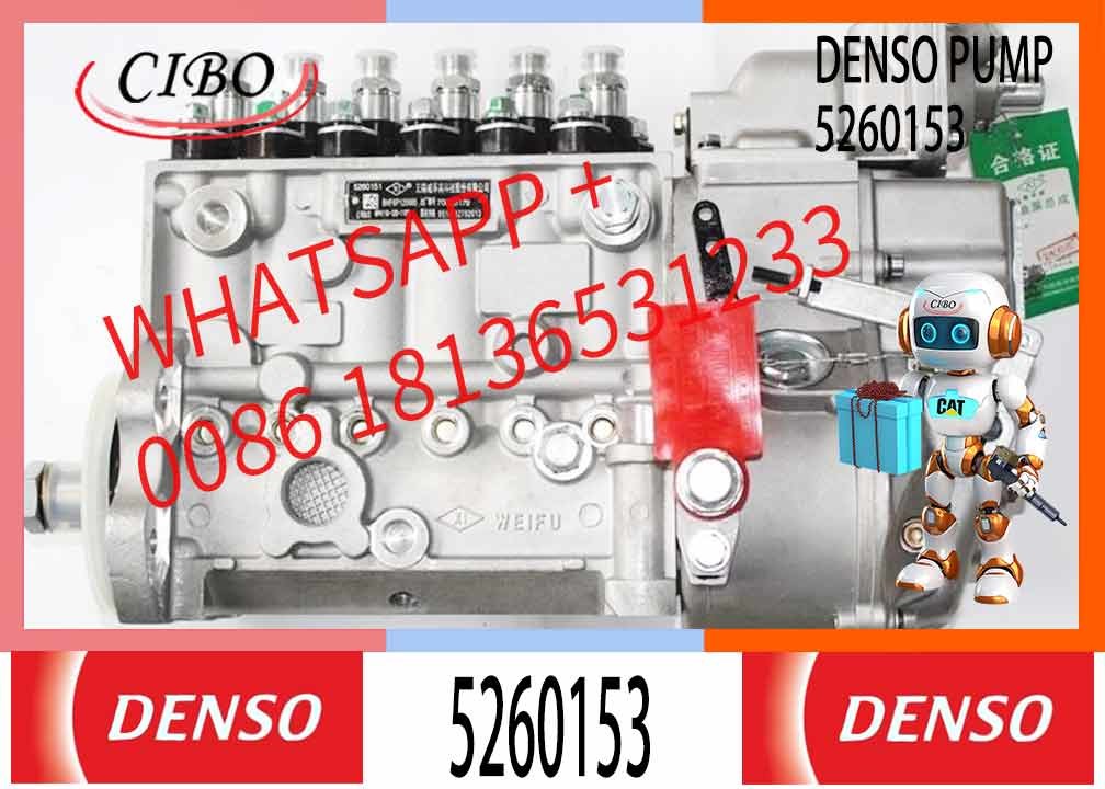 High Quality Diesel Engine Fuel Injection Pump 6PH111A 5260153 for Cu mm ins 6L L375 QSL8.9 Diesel Engine