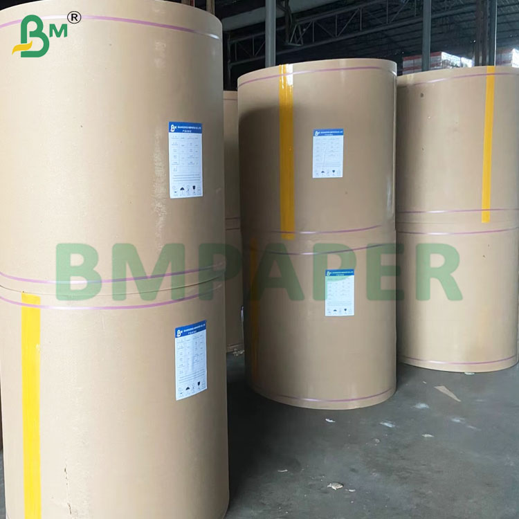 135-350 GSM High Stiffness Food Container Paper Roll for Paper Bowl