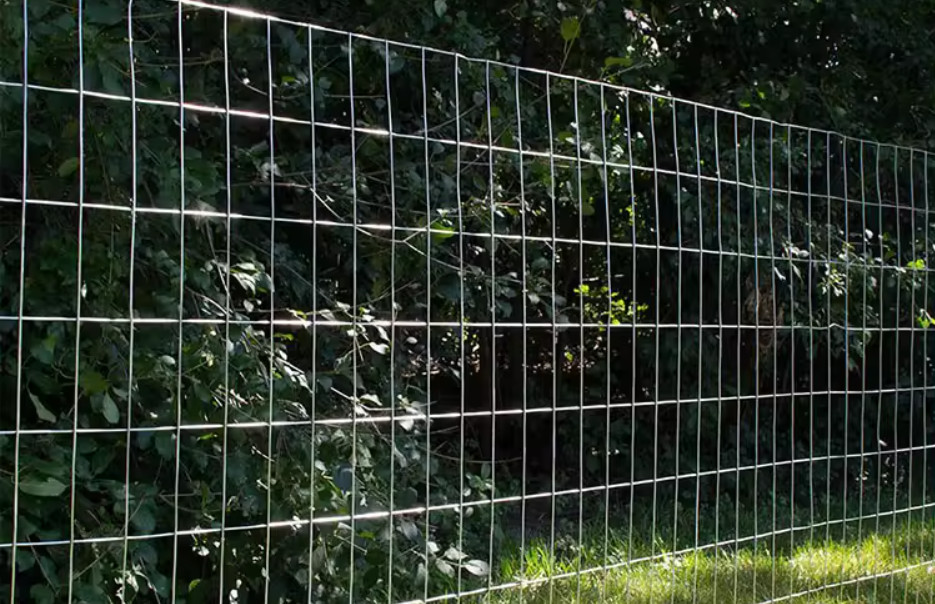 Various Applications Galvanized Iron Welded Mesh Rolls Corrosion Resistance